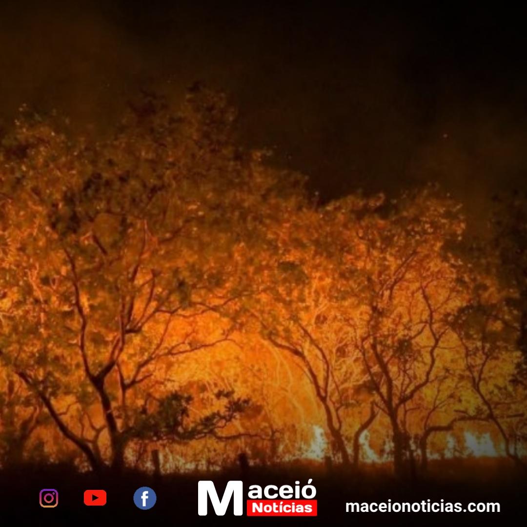 Seca e Queimadas: Aumento dos preços dos alimentos pode elevar custo de produtos