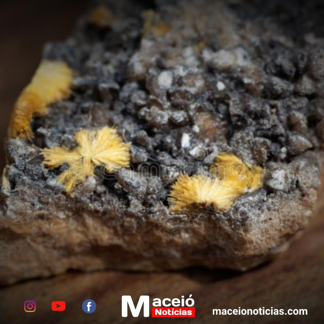 Empresa chinesa assume controle da Mina Pitinga, a maior reserva de urânio do Brasil