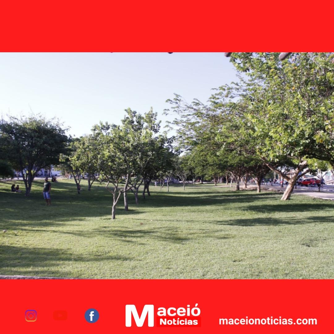 PlaNAU: Um novo caminho para a arborização urbana no Brasil