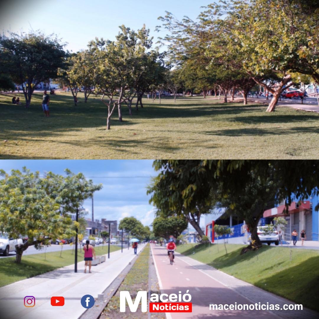 Arapiraca dá exemplo que Maceió precisa seguir em arborização e estrutura urbana