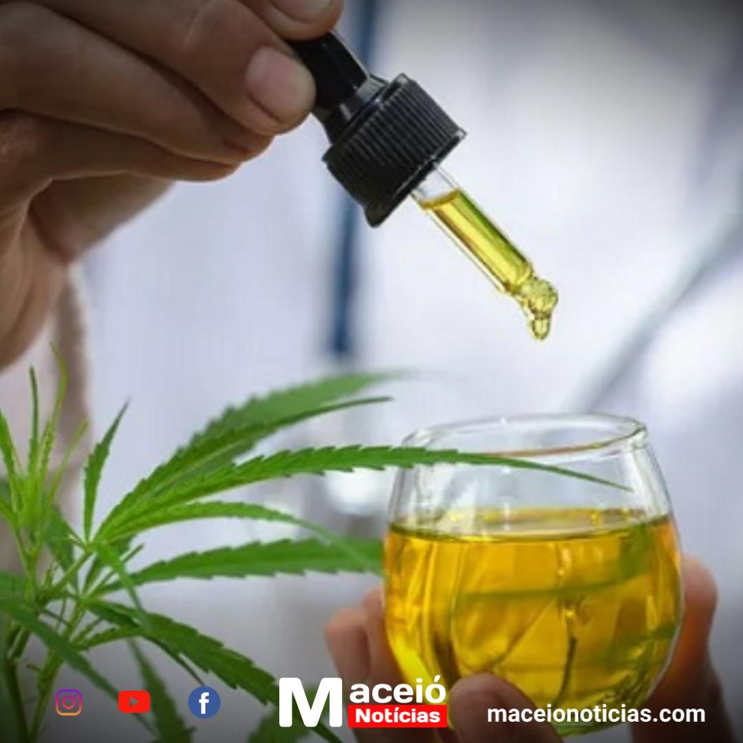 Câmara de Arapiraca discute inclusão da Cannabis medicinal no SUS