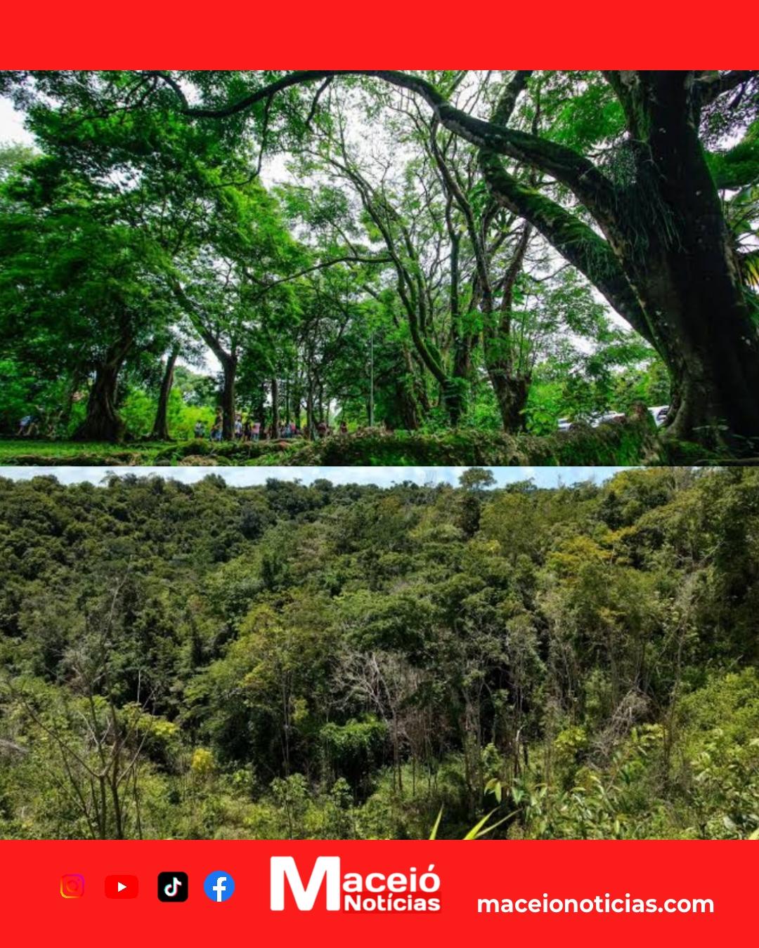 Preservar e receber: Alagoas inicia contratos do PSA