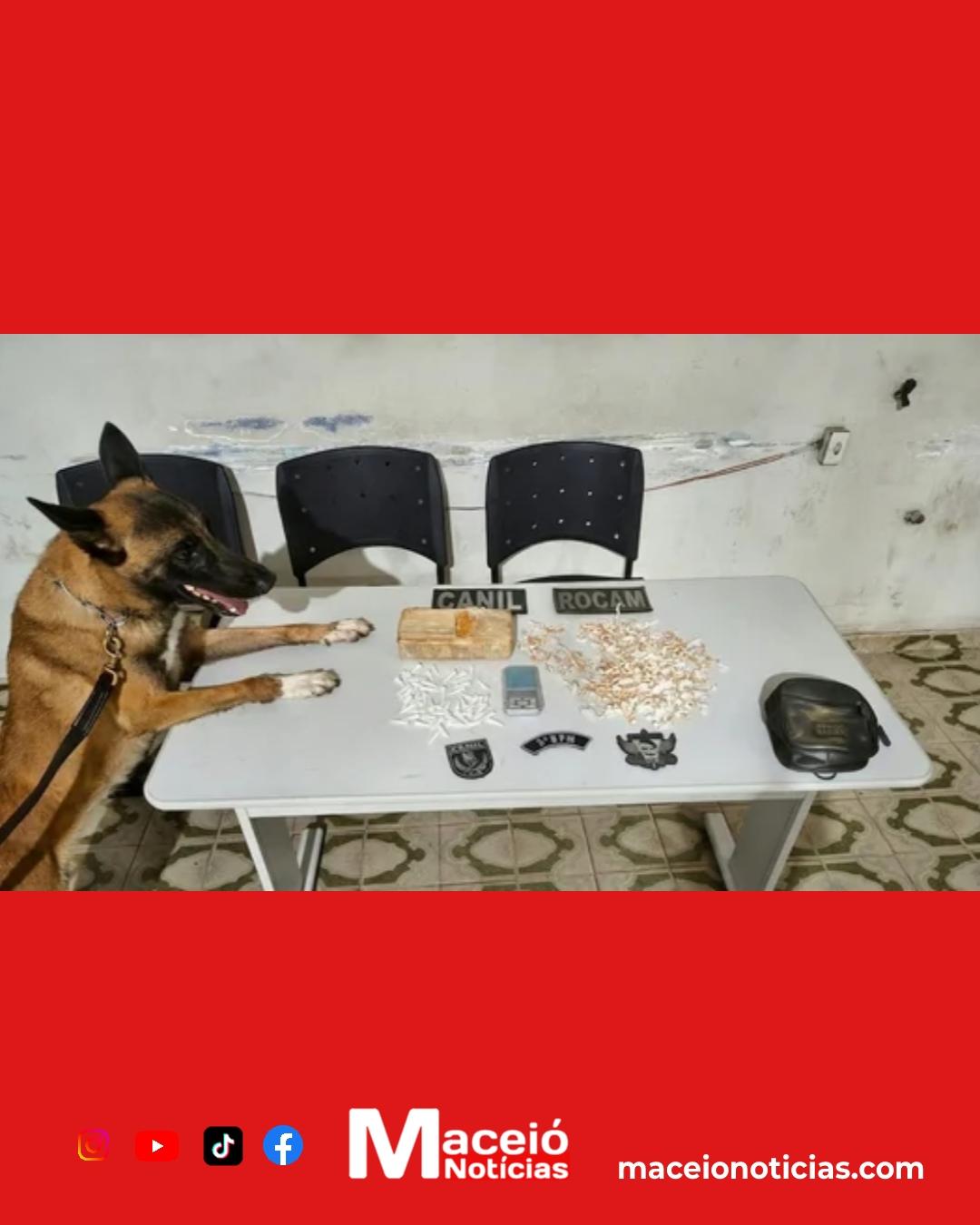 Polícia apreende mais de 1 kg de crack e cocaína durante ação no Agreste