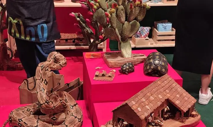 Artnor movimenta Jaraguá com artesanato, moda e expectativa de grandes negócios