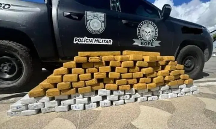 Bope frustra esquema de tráfico e apreende quase 100 kg de maconha na divisa de Alagoas com Sergipe