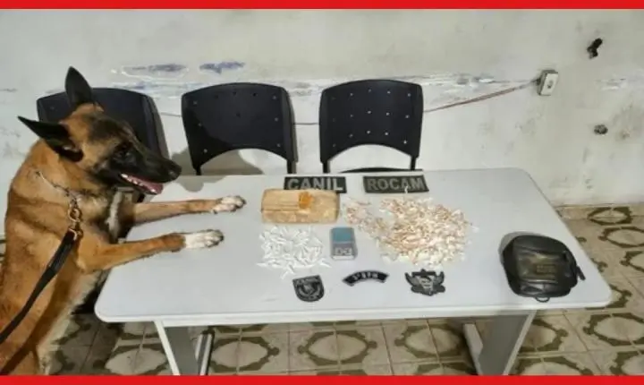 Polícia apreende mais de 1 kg de crack e cocaína durante ação no Agreste