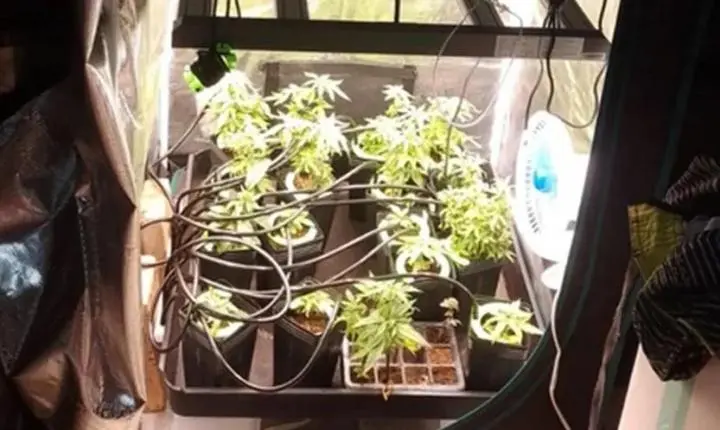 Polícia Civil descobre laboratório de drogas em condomínio de Maceió