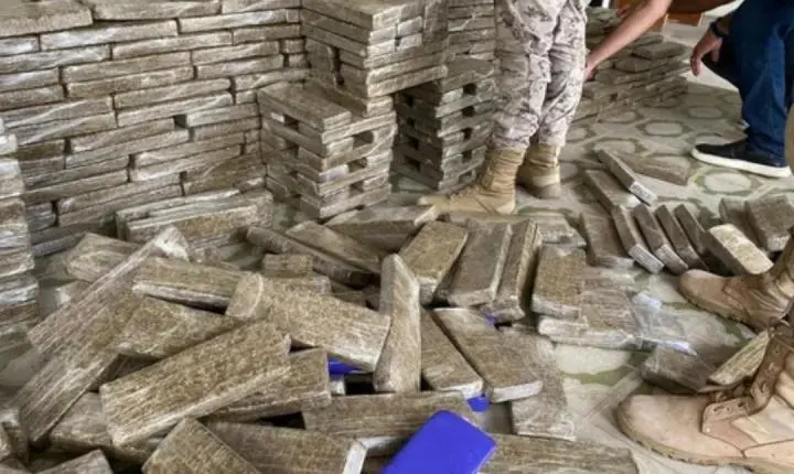 Tráfico sofre prejuízo de R$ 4 milhões após grande apreensão de drogas no Agreste de Alagoas