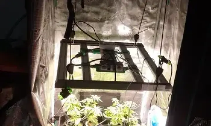 Polícia Civil descobre laboratório de drogas em condomínio de Maceió