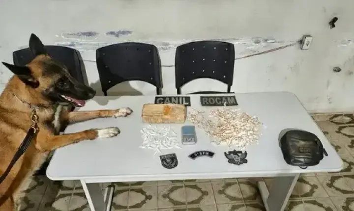 Polícia apreende mais de 1 kg de crack e cocaína durante ação no Agreste
